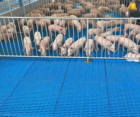 Grelhas de piso de fibra de vidro de alta resistência Grelhas moldadas de FRP para ovelhas de porco