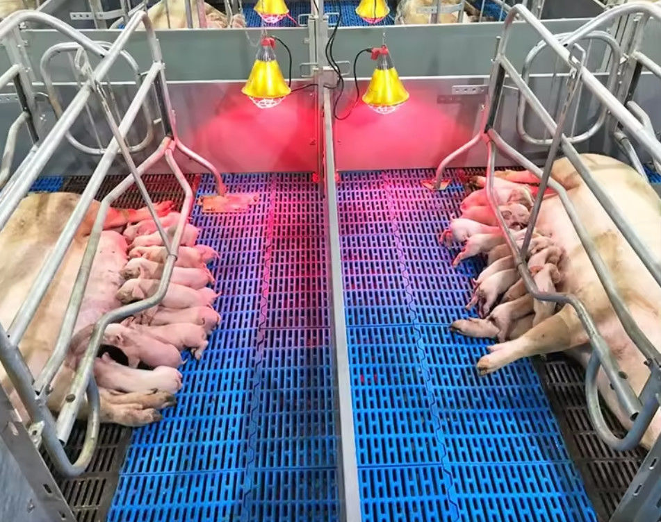 Grelhas de piso de fibra de vidro de alta resistência Grelhas moldadas de FRP para ovelhas de porco